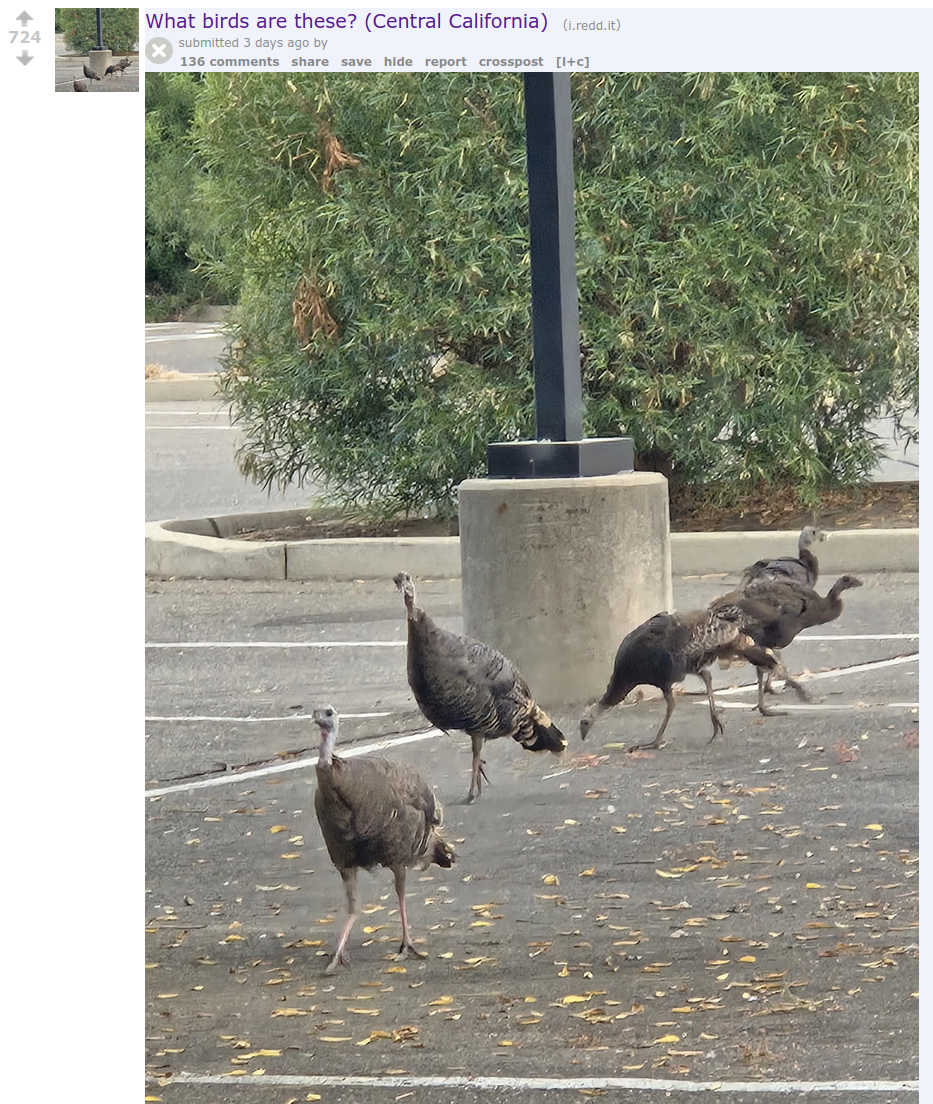 Screenshot from 2026-02-08 09-28-00.png